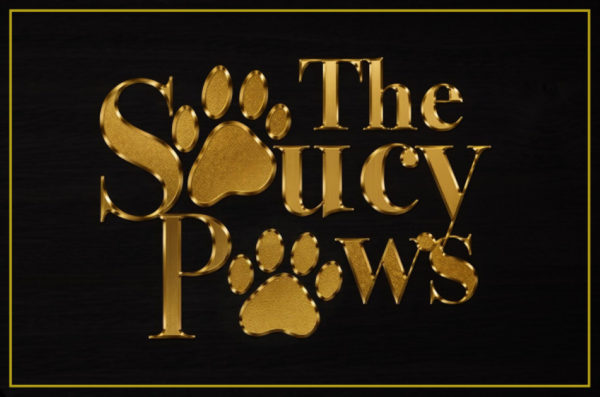 The Saucy Paws Luxury Custom Pet Portraits